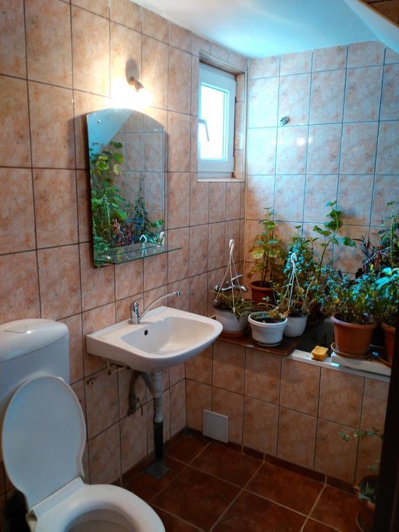 Vila Marcela Buşteni Oda fotoğraf
