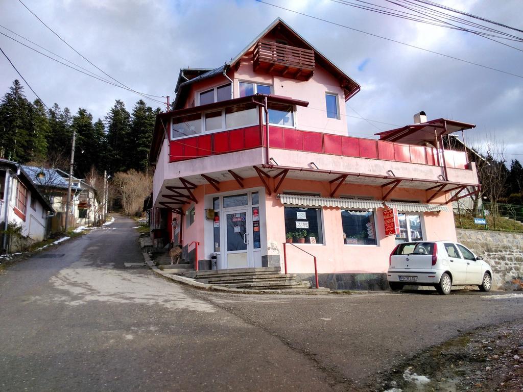 Vila Marcela Buşteni Oda fotoğraf