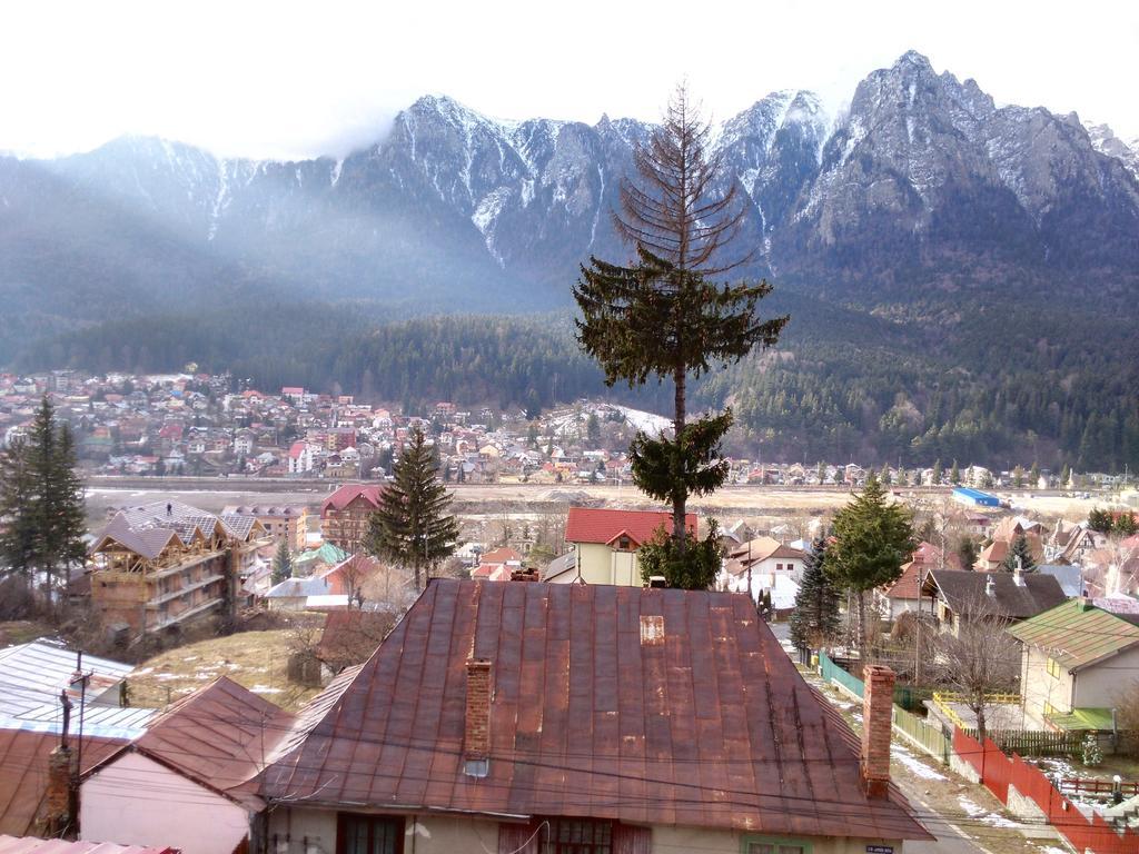 Vila Marcela Buşteni Oda fotoğraf