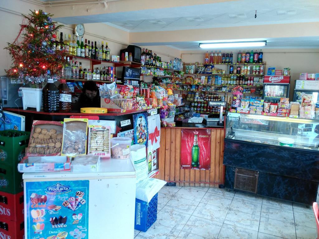 Vila Marcela Buşteni Oda fotoğraf