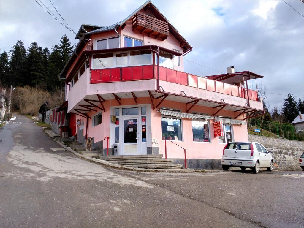 Vila Marcela Buşteni Dış mekan fotoğraf